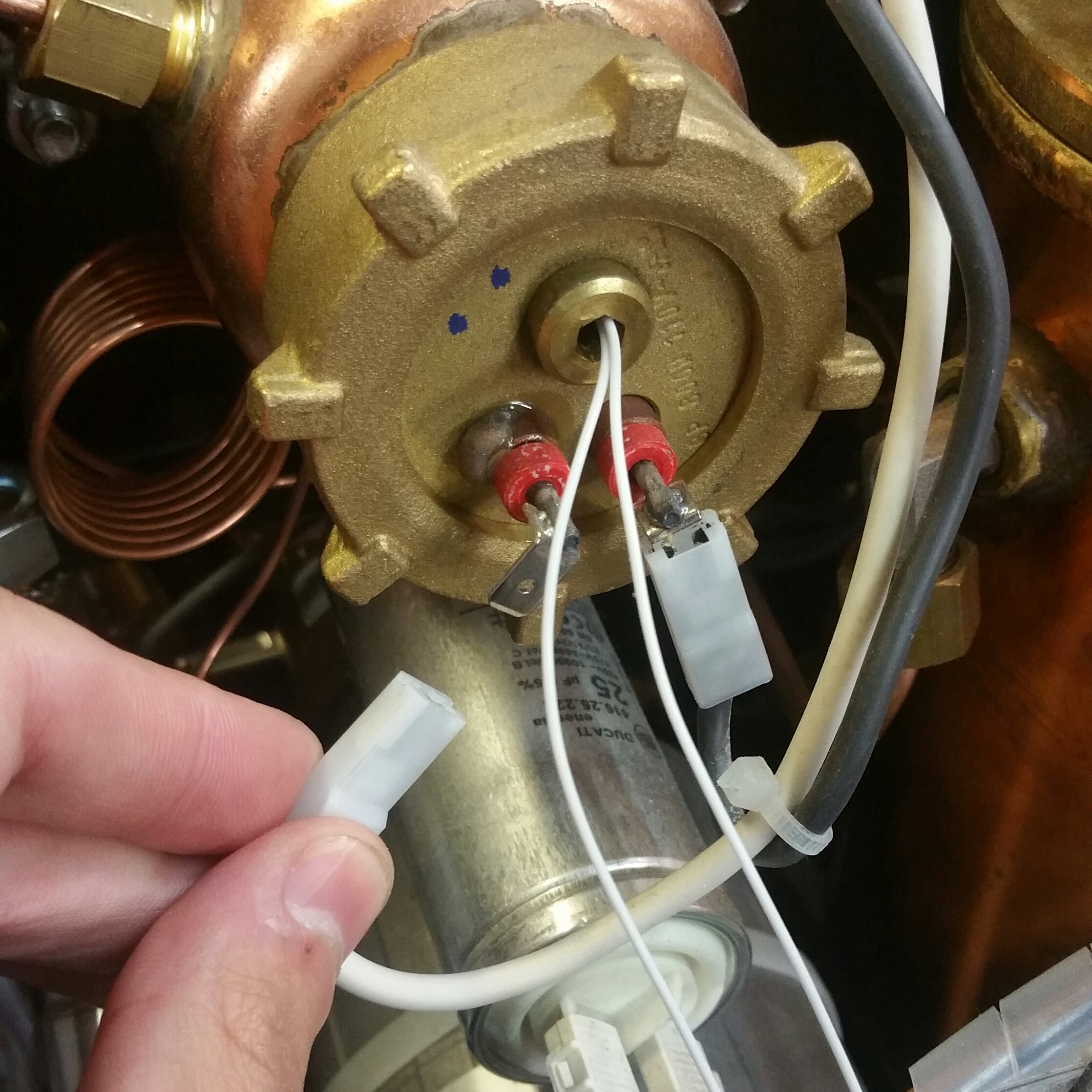 20180503_113729-1.jpg